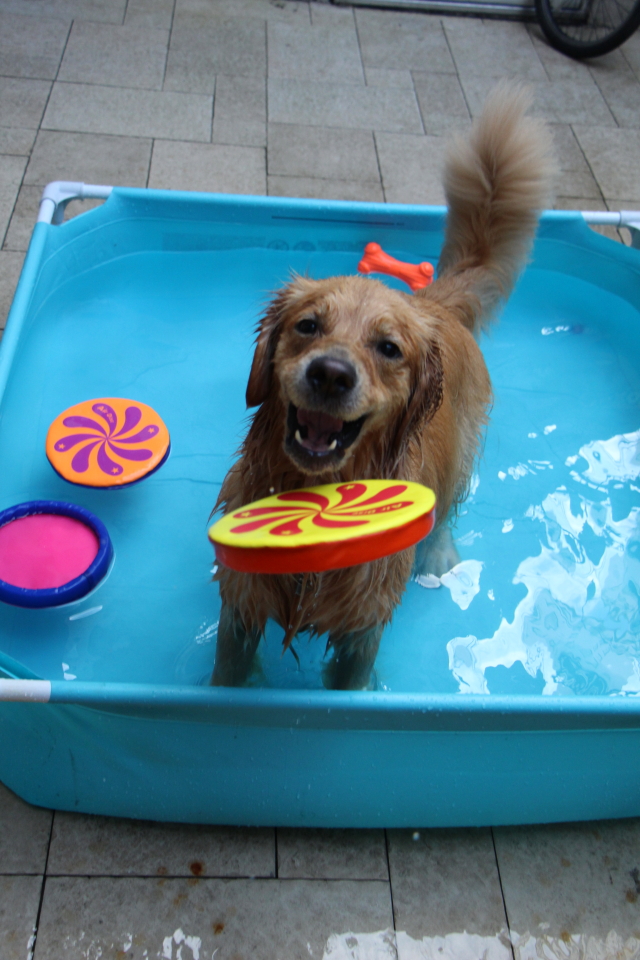 ファイル 7715-1.jpg