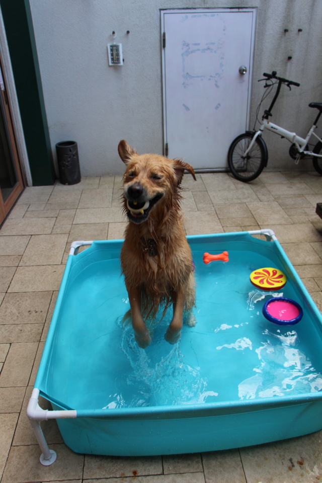 ファイル 7715-2.jpg