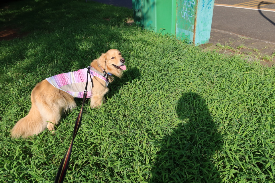 ファイル 7716-1.jpg