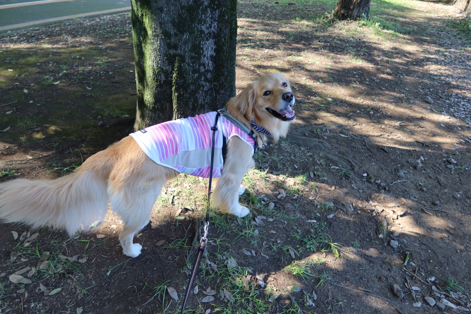 ファイル 7716-2.jpg