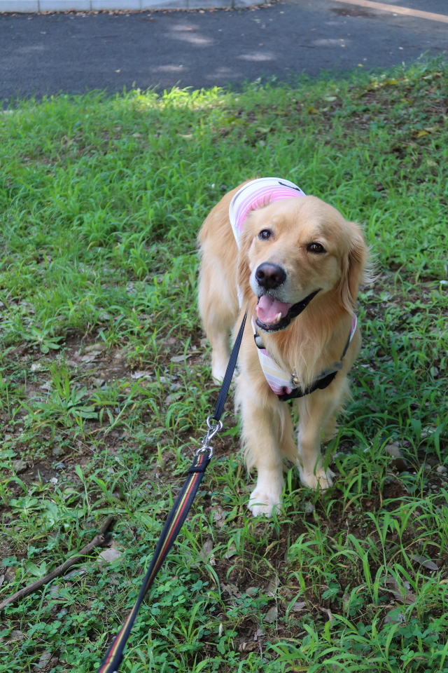 ファイル 7716-3.jpg