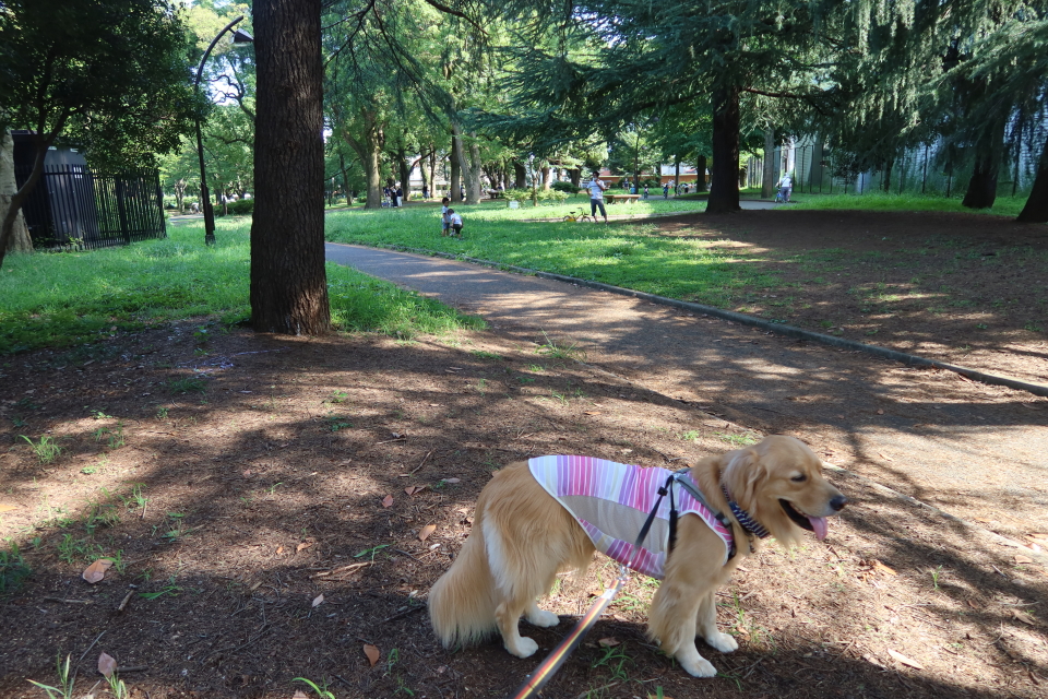 ファイル 7716-4.jpg