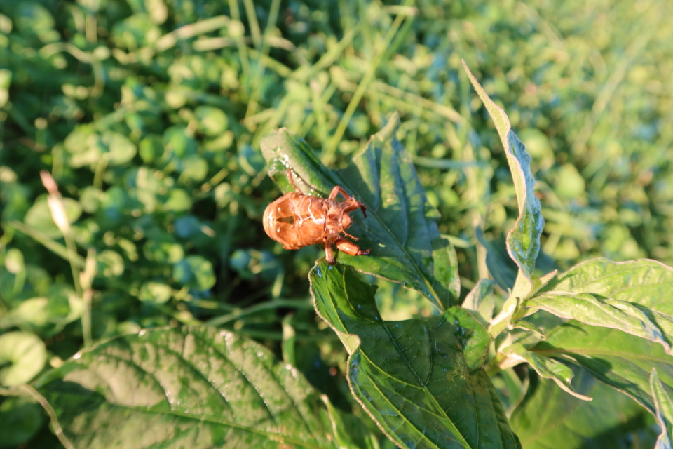 ファイル 7717-3.jpg