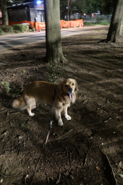 ファイル 7719-4.jpg