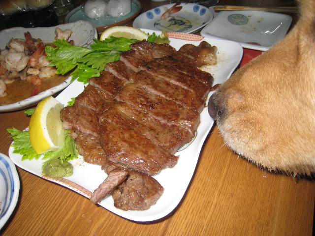 ファイル 772-3.jpg