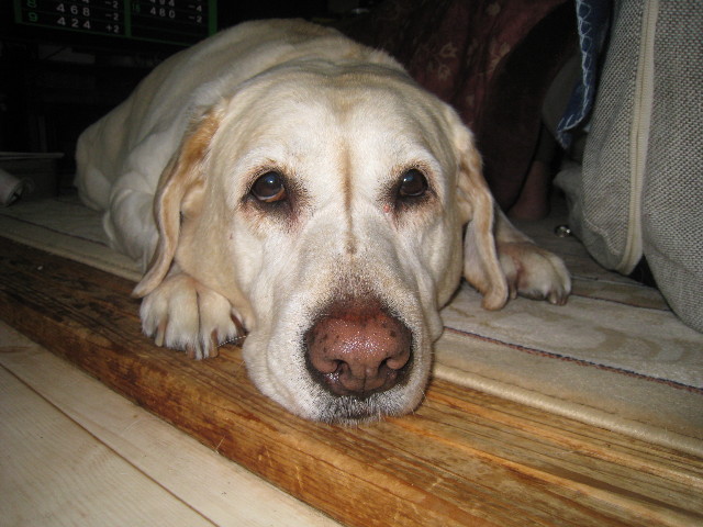 ファイル 772-4.jpg