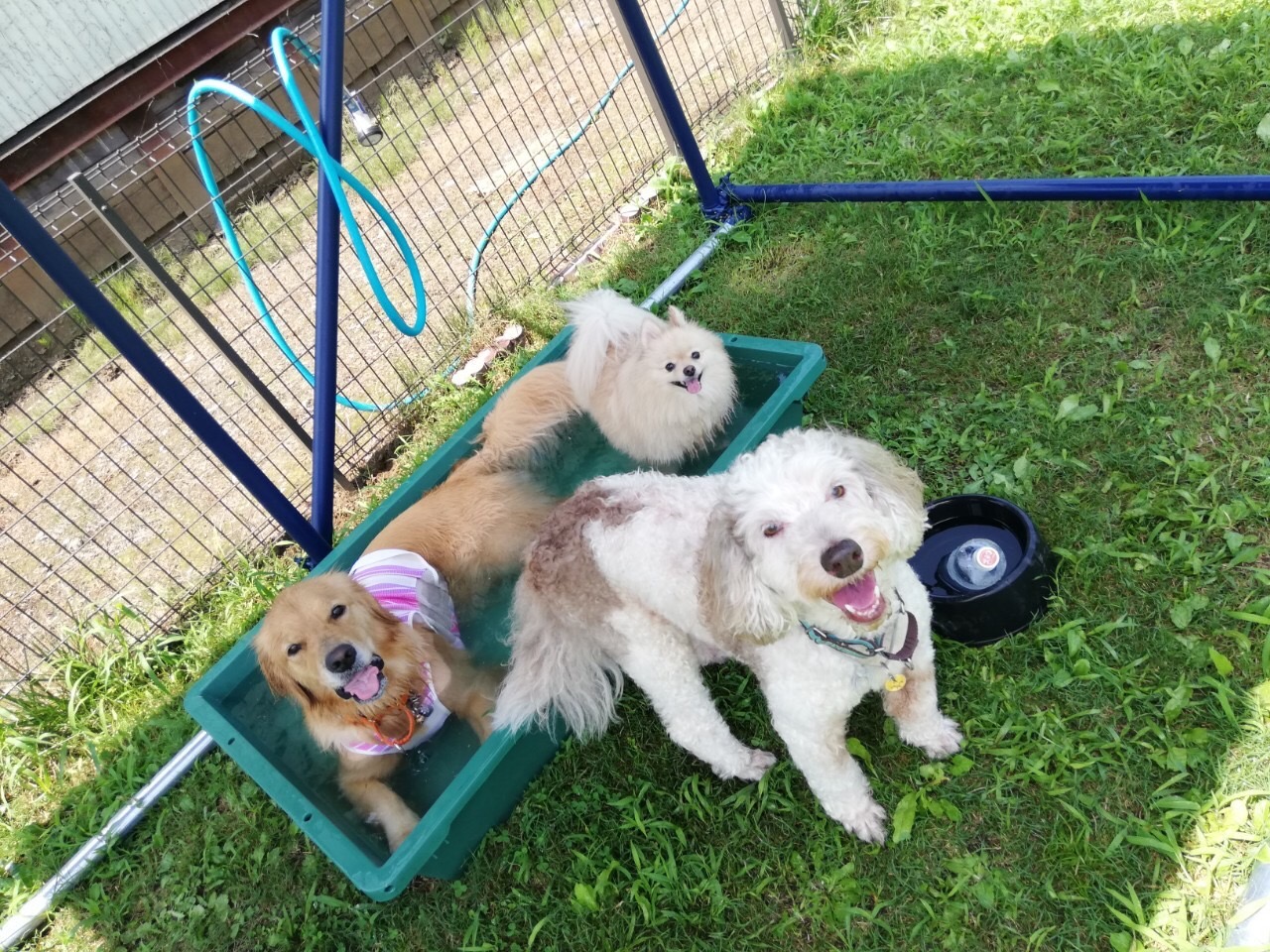 ファイル 7720-4.jpg