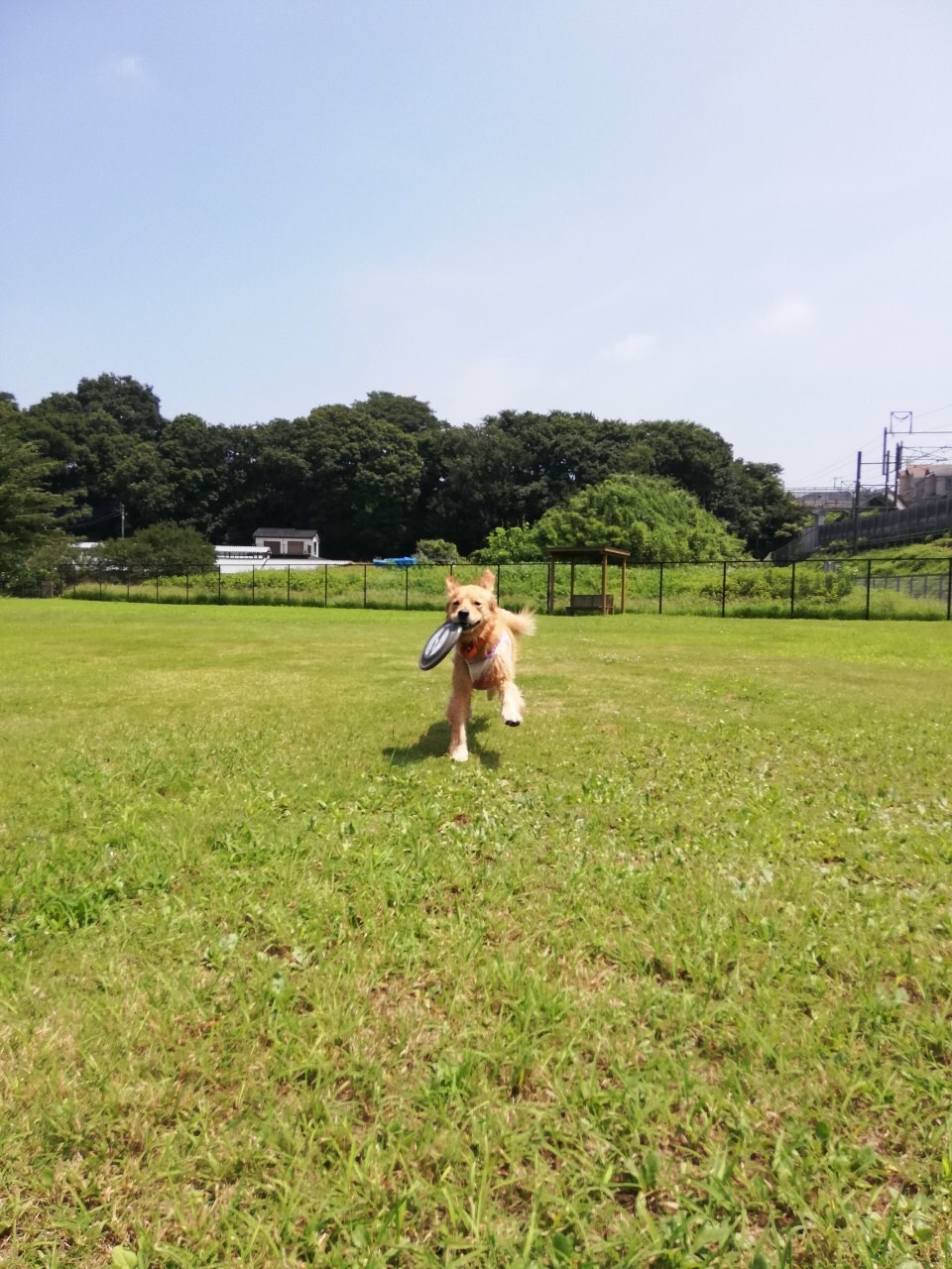 ファイル 7720-5.jpg