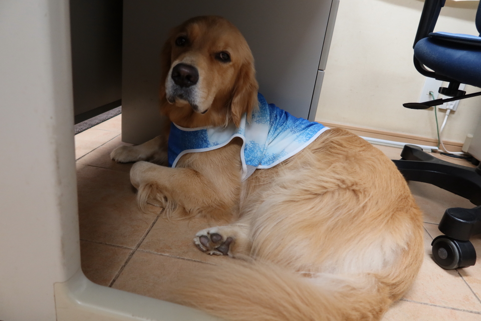 ファイル 7721-1.jpg