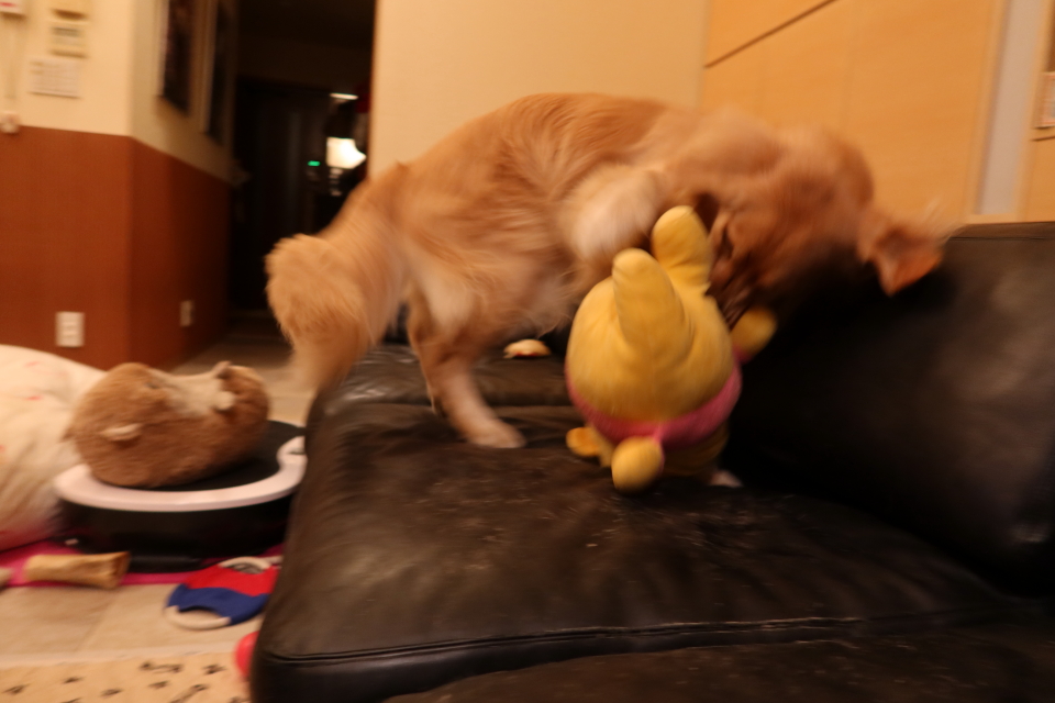 ファイル 7722-5.jpg