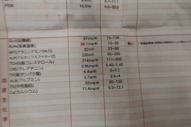 ファイル 7723-3.jpg