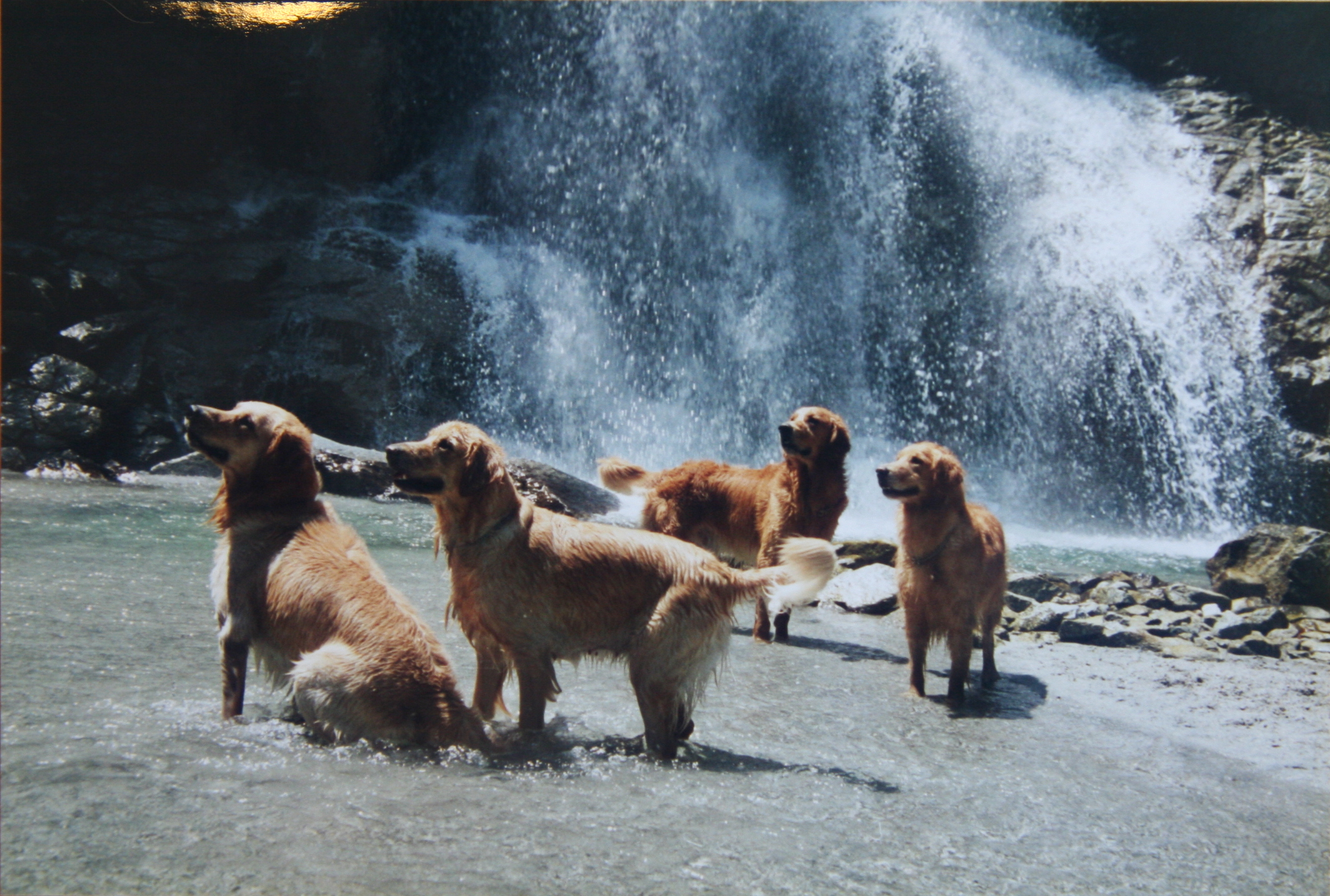 ファイル 7724-1.jpg