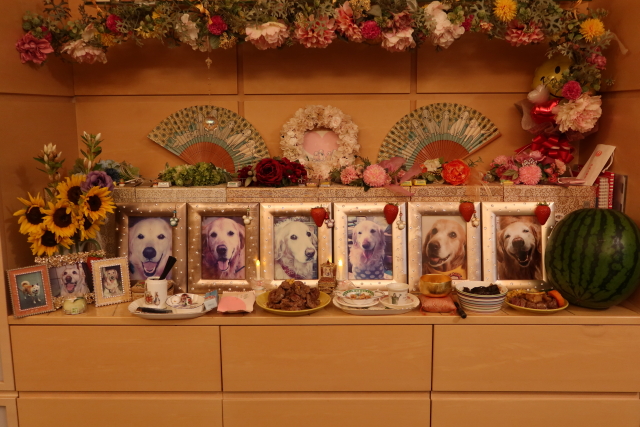 ファイル 7724-3.jpg