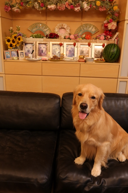 ファイル 7724-4.jpg