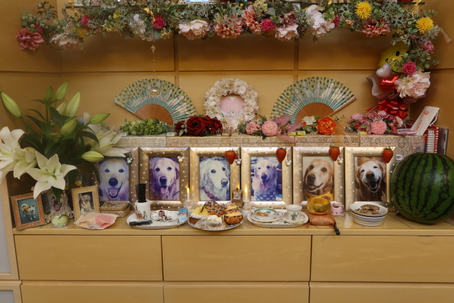 ファイル 7724-5.jpg