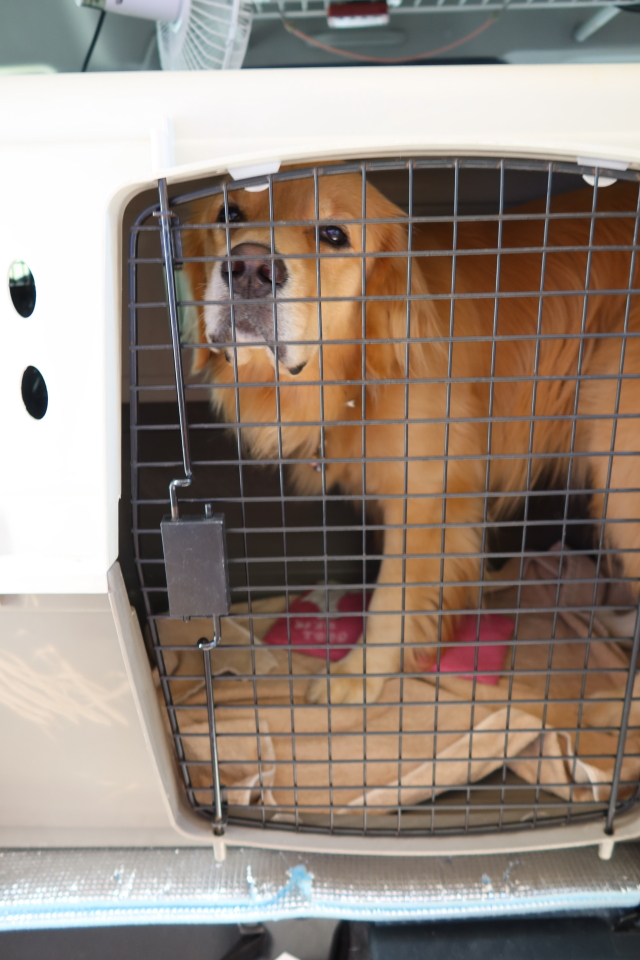 ファイル 7727-1.jpg