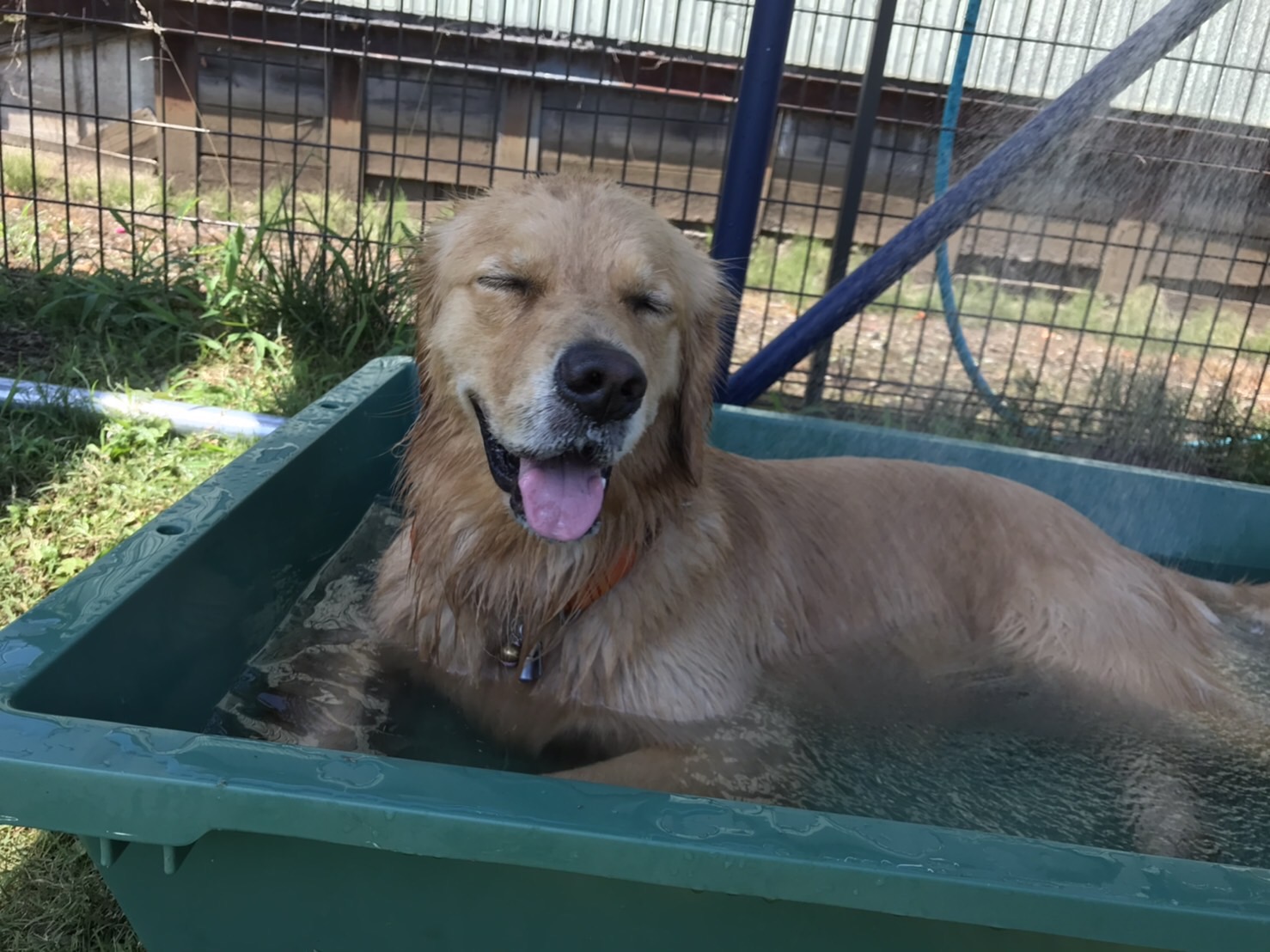 ファイル 7729-2.jpg