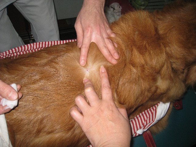 ファイル 773-4.jpg