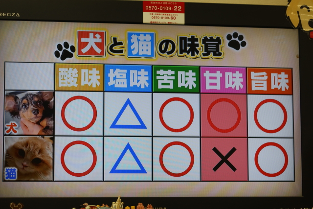 ファイル 7730-3.jpg