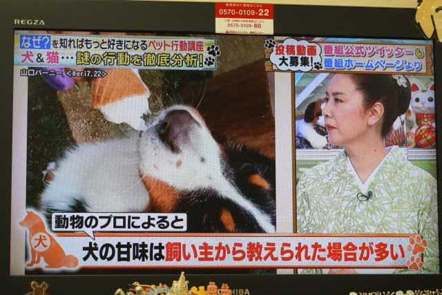 ファイル 7730-4.jpg