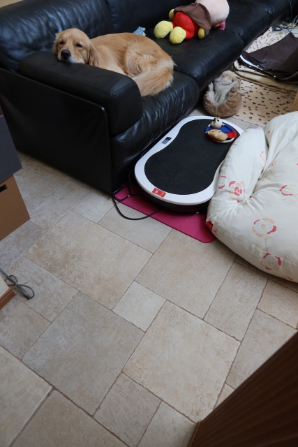 ファイル 7732-1.jpg