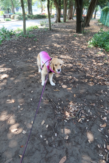 ファイル 7732-4.jpg