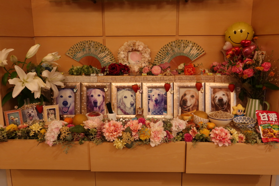 ファイル 7733-4.jpg