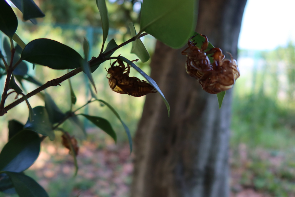 ファイル 7733-5.jpg