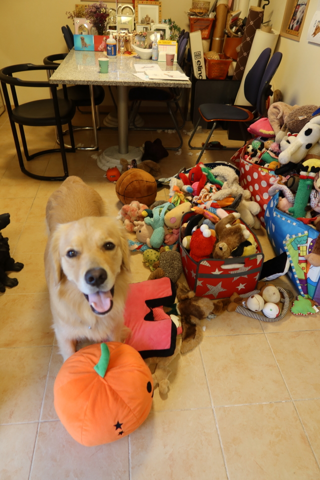 ファイル 7734-3.jpg