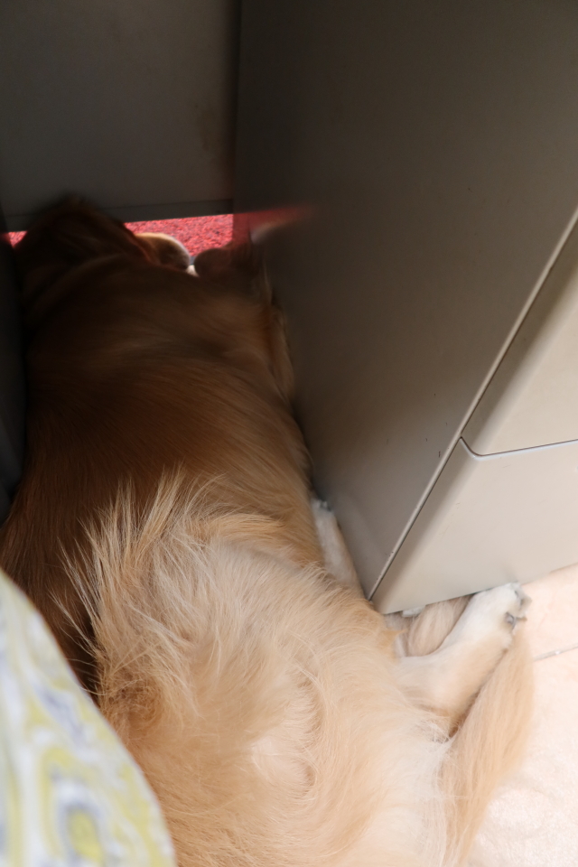 ファイル 7734-5.jpg