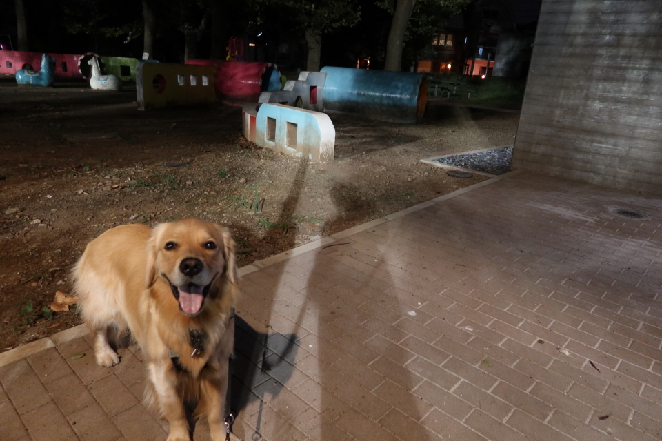 ファイル 7735-2.jpg