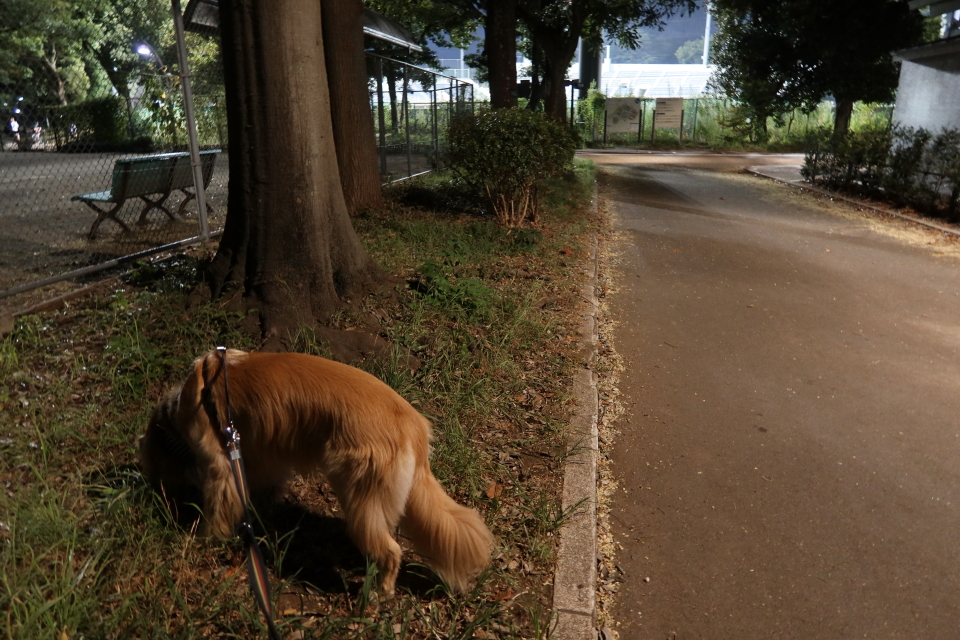 ファイル 7735-3.jpg