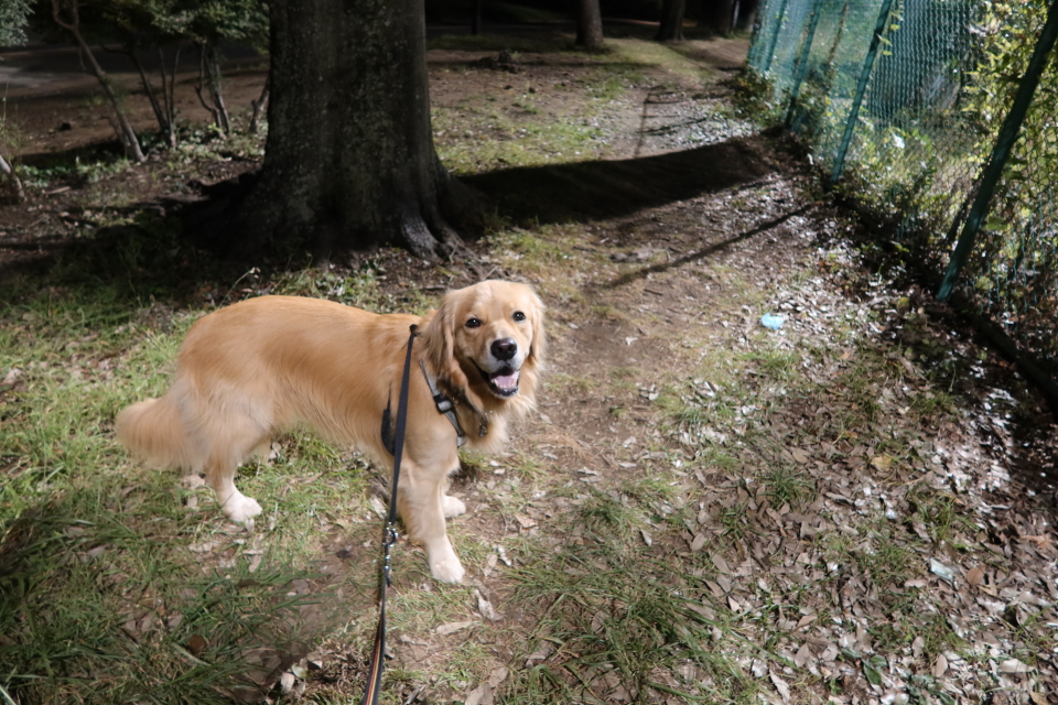 ファイル 7735-4.jpg