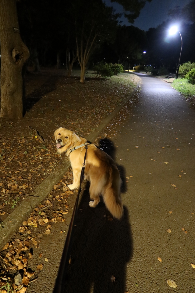 ファイル 7735-5.jpg