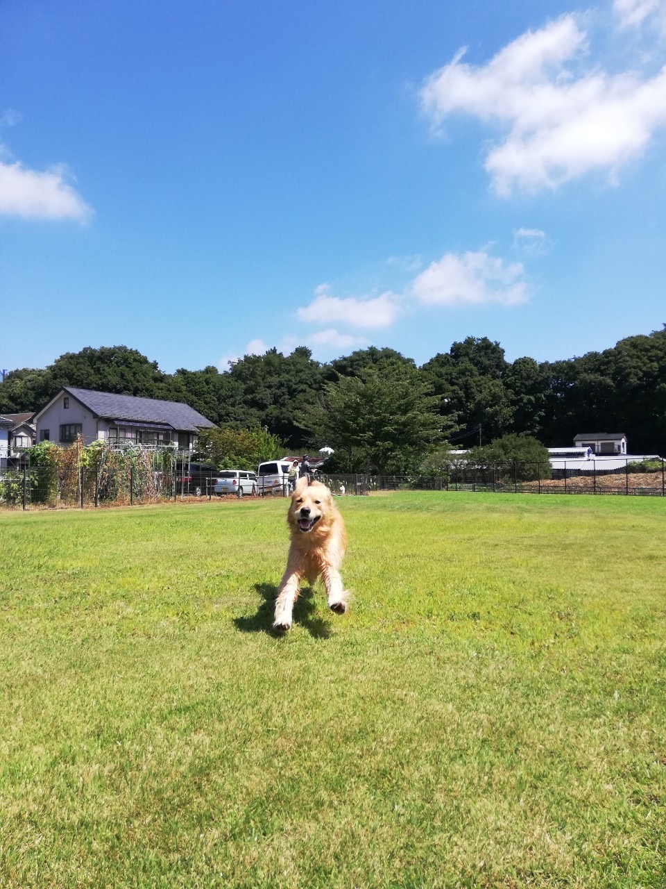 ファイル 7737-1.jpg