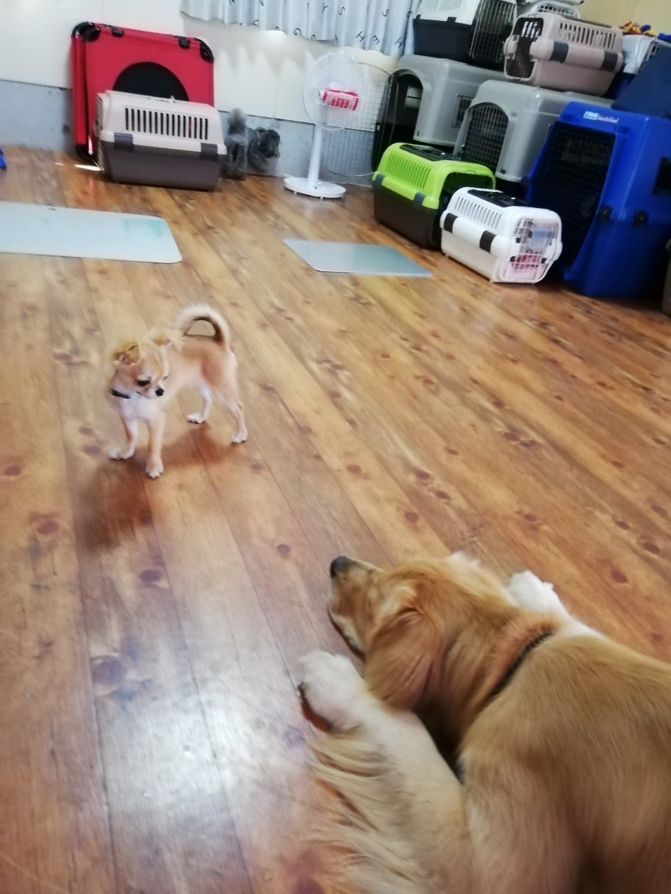 ファイル 7737-5.jpg