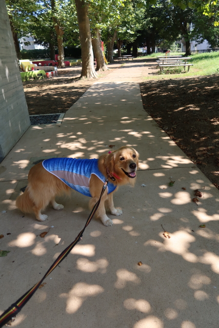 ファイル 7738-1.jpg