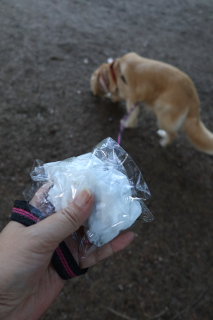 ファイル 7738-4.jpg