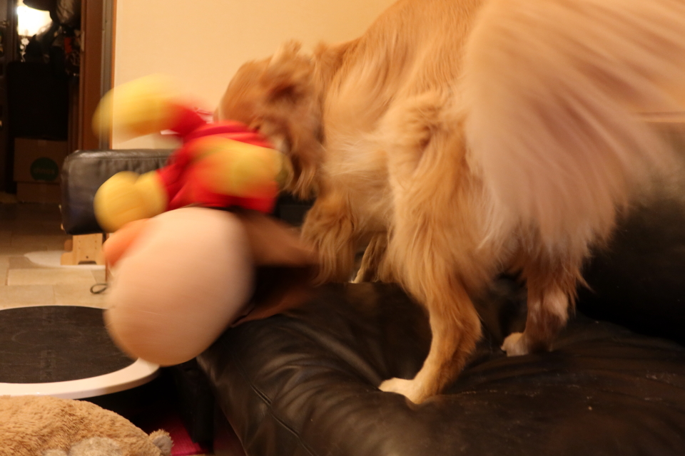 ファイル 7739-4.jpg