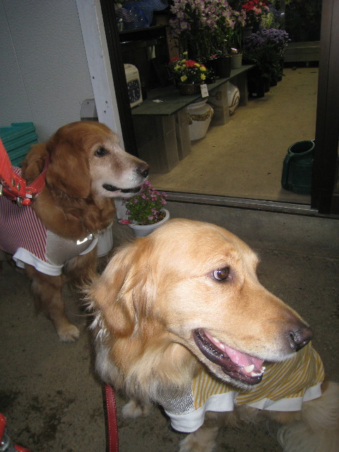 ファイル 774-1.jpg