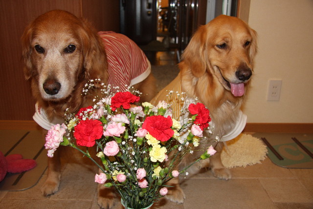 ファイル 774-2.jpg