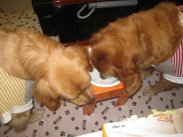 ファイル 774-5.jpg