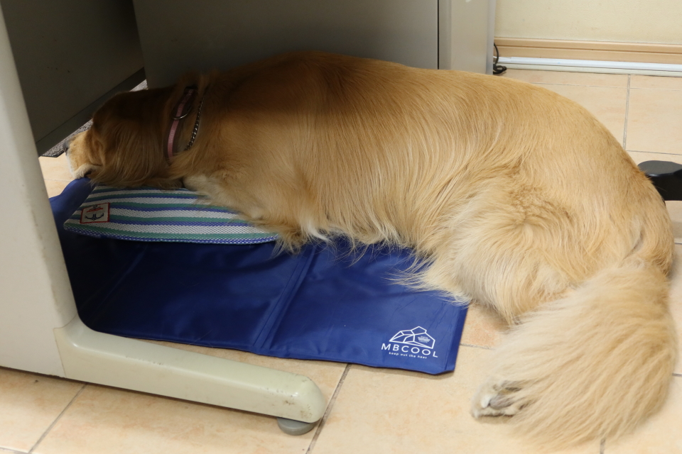 ファイル 7740-2.jpg