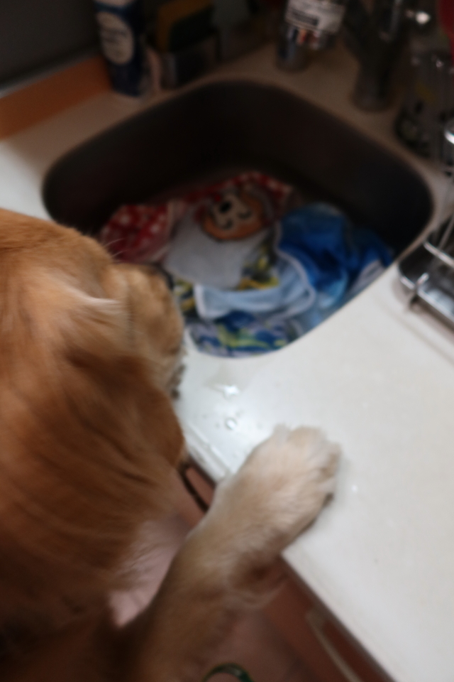 ファイル 7740-3.jpg