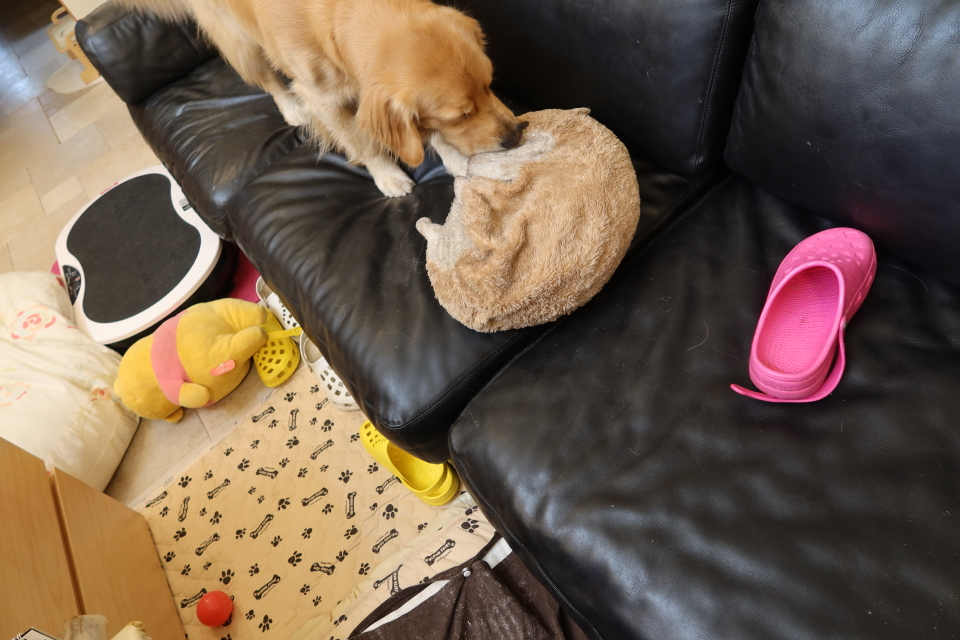 ファイル 7740-4.jpg