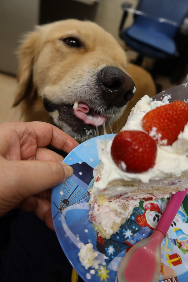 ファイル 7740-5.jpg