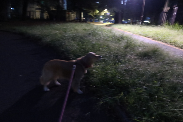 ファイル 7741-5.jpg