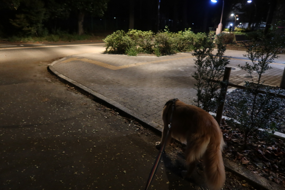 ファイル 7742-2.jpg