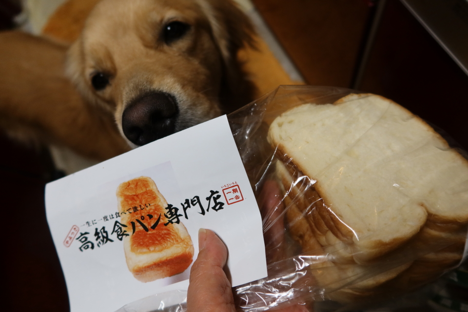 ファイル 7742-5.jpg