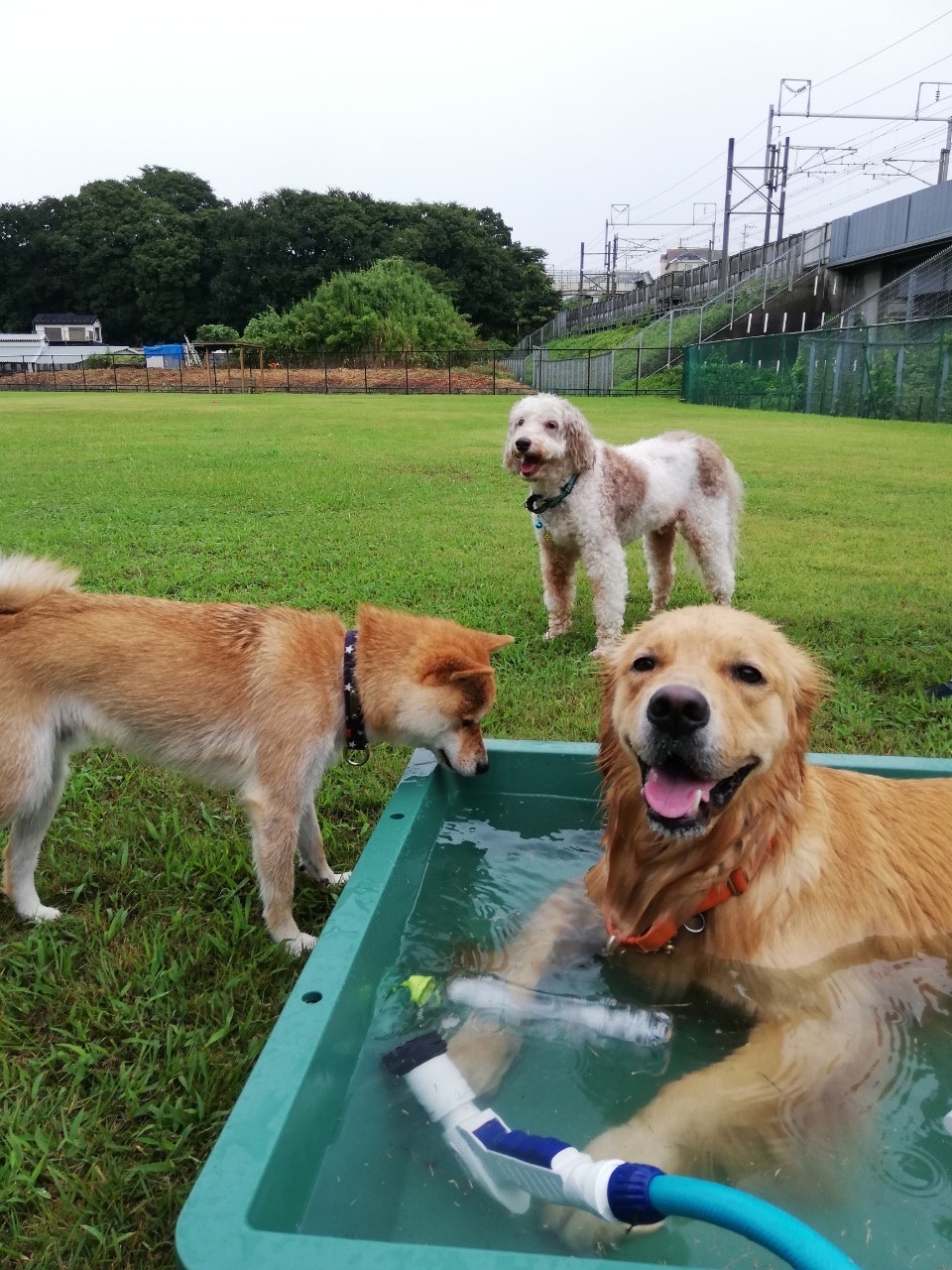 ファイル 7743-3.jpg